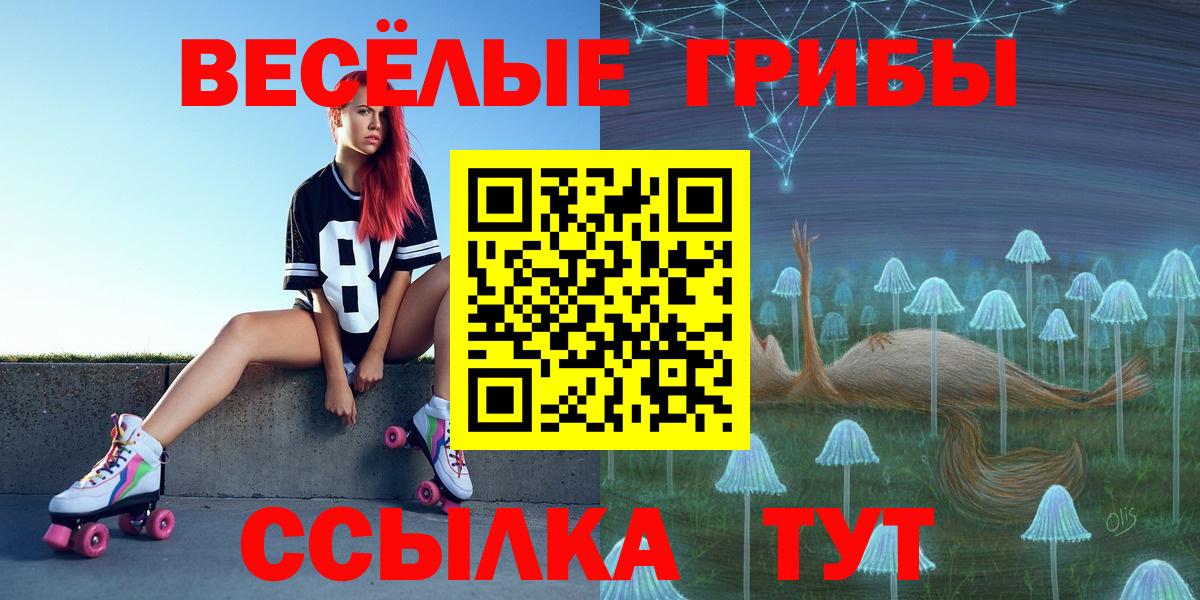Галлюциногенные грибы Psilocybine cubensis Омск